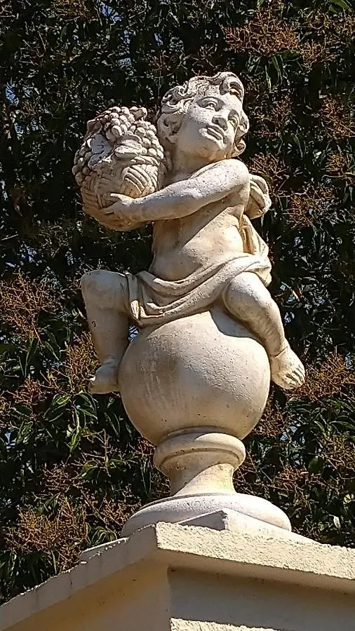 Le Clos du Cèdre Launac